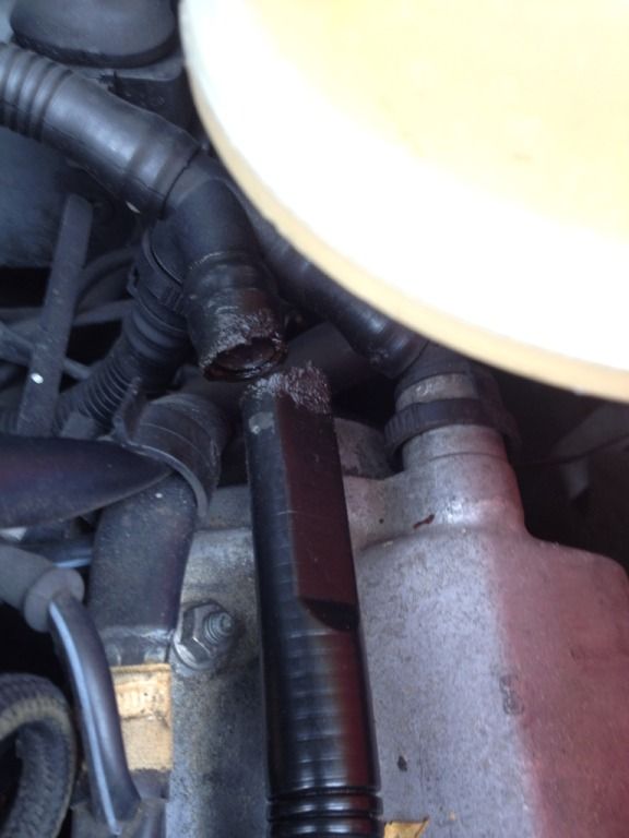 PCV Valve hose split ! UKPassats